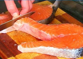 Quel légume pour poisson rouge ?