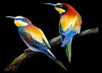 Quel lettre pour les oiseaux en 2022 ?