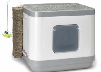 Quel litière pour Maine Coon ?