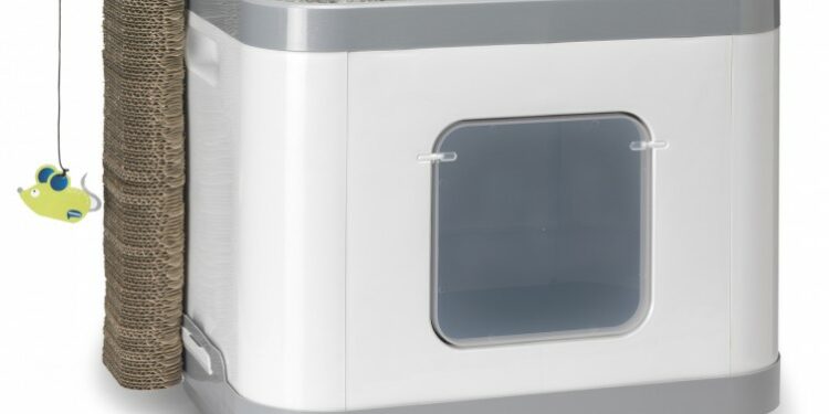 Quel litière pour Maine Coon ?