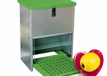 Quel mangeoire pour 2 poules ?