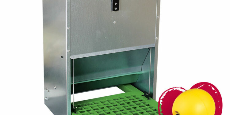 Quel mangeoire pour 2 poules ?