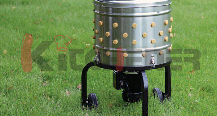 Quel moteur pour plumeuse ?