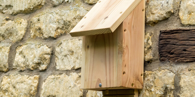Quel nichoir Chauve-souris ?