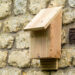 Quel nichoir Chauve-souris ?