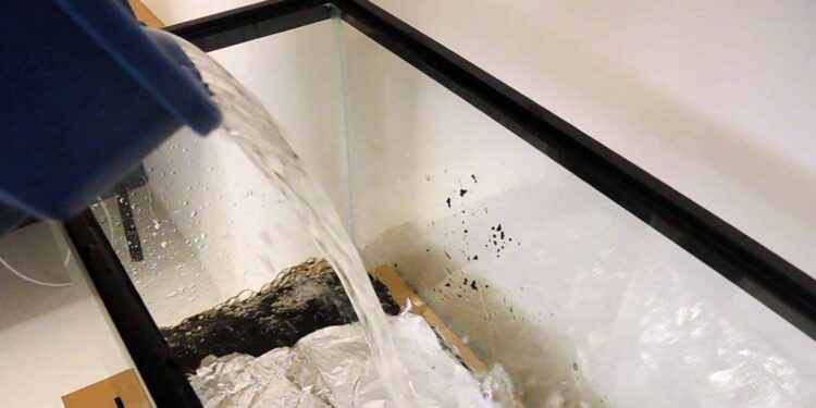 Quel niveau d'eau dans un aquarium ?