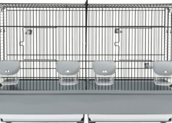 Quel oiseau mettre dans une petite cage ?
