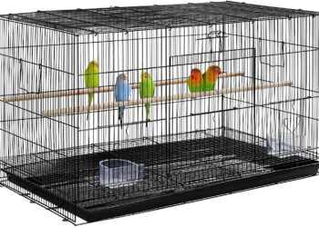 Quel oiseau mettre dans une petite cage ?