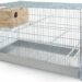 Quel oiseau mettre dans une petite cage ?