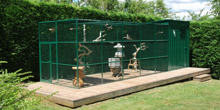 Quel oiseau ne craint pas le froid ?