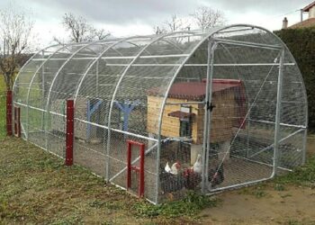 Quel oiseau ne craint pas le froid ?