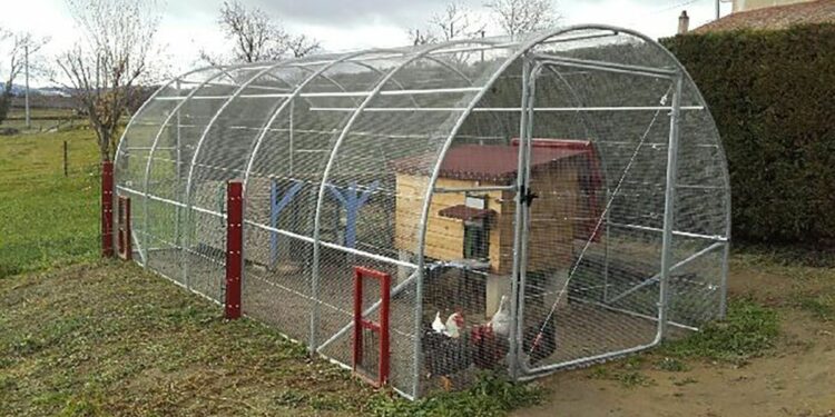 Quel oiseau ne craint pas le froid ?