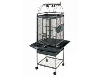 Quel oiseau peut vivre seul dans une cage ?