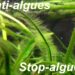 Quel pH pour eviter les algues ?