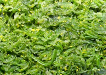 Quel pH pour eviter les algues ?