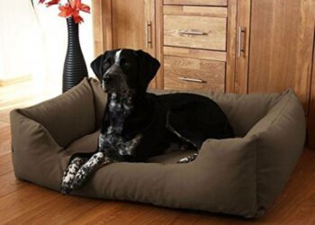 Quel panier pour gros chien ?