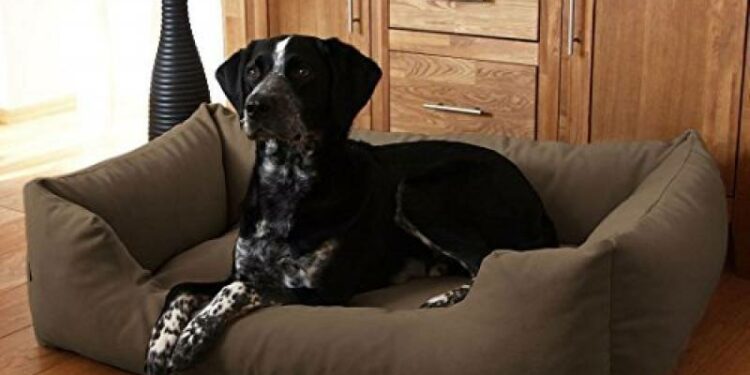 Quel panier pour gros chien ?