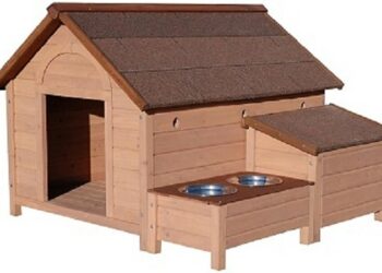 Quel panier pour un Golden Retriever ?