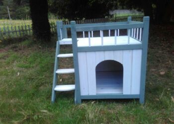 Quel panier pour un teckel ?