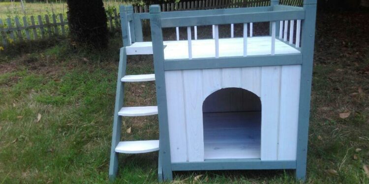 Quel panier pour un teckel ?