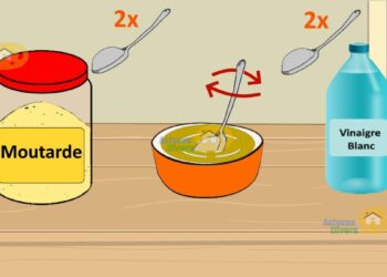 Quel parfum pour éloigner les chats ?