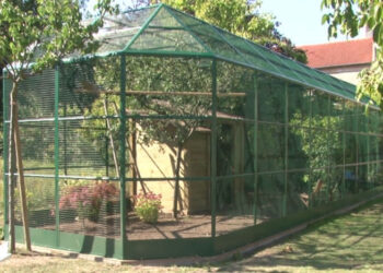 Quel plante pour volière extérieure ?