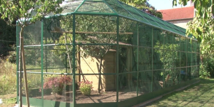 Quel plante pour volière extérieure ?