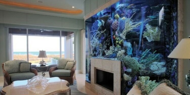 Quel poisson dans l'eau du robinet ?