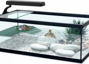 Quel poisson dans l'eau du robinet ?