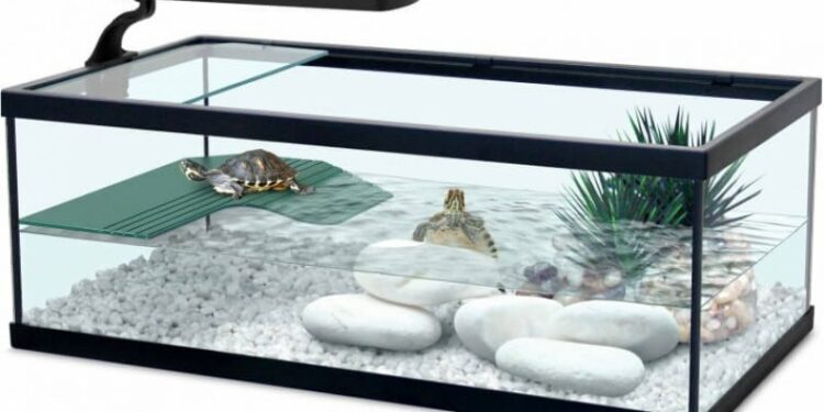 Quel poisson dans l'eau du robinet ?