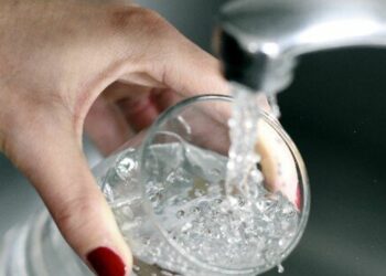 Quel poisson dans l'eau du robinet ?