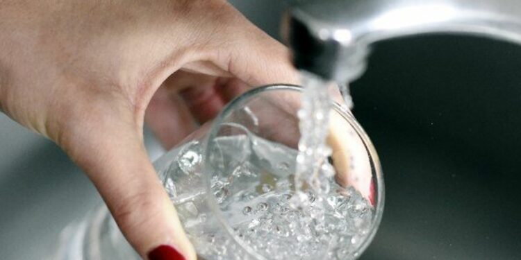 Quel poisson dans l'eau du robinet ?