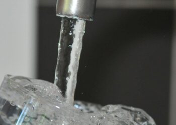 Quel poisson dans l'eau du robinet ?