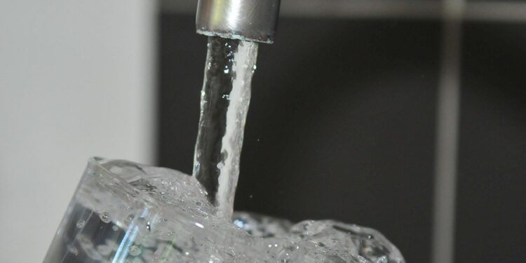 Quel poisson dans l'eau du robinet ?