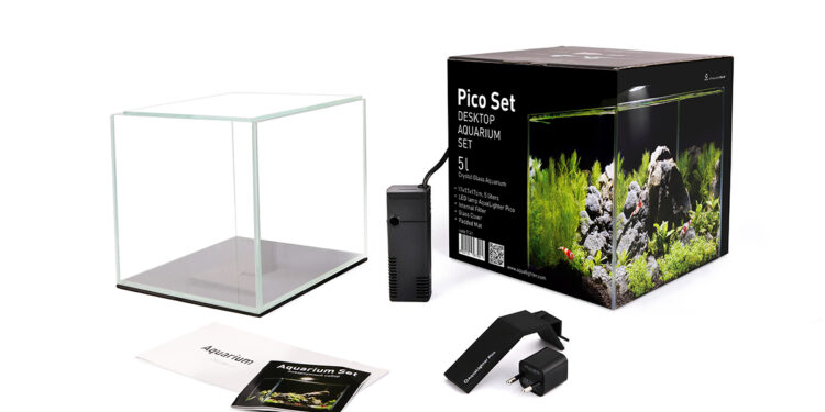 Quel poisson peut vivre seul ?