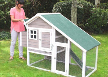 Quel poulailler pour 2 poules ?