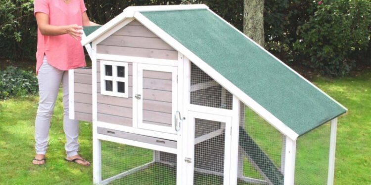 Quel poulailler pour 2 poules ?