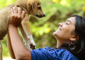 Quel prix pour une saillie ?