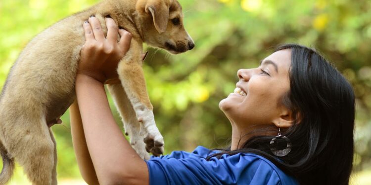 Quel prix pour une saillie ?