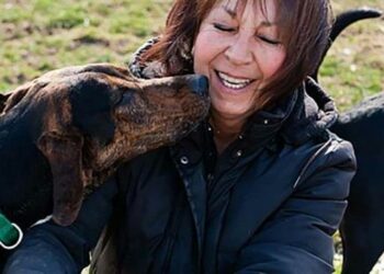 Quel produit pour éloigner les chiens ?