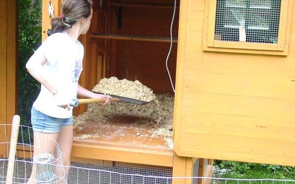 Quel produit pour nettoyer un poulailler ?