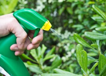 Quel produit repousse les chats ?