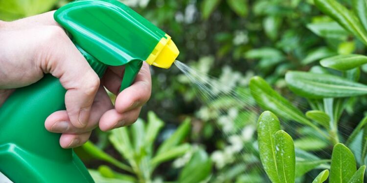 Quel produit repousse les chats ?