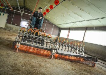 Quel produit utiliser pour désinfecter un poulailler ?