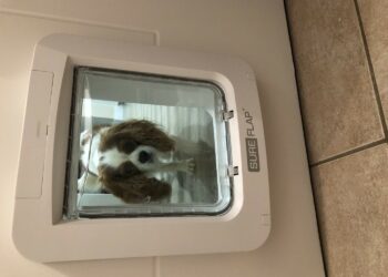 Quel professionnel pour installer une chatière ?