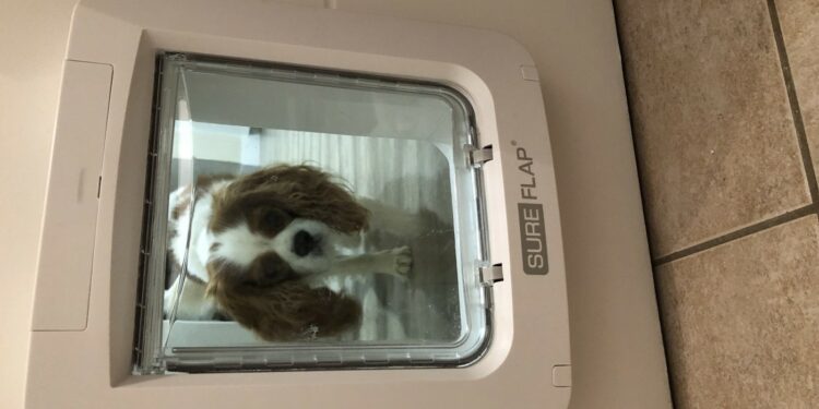 Quel professionnel pour installer une chatière ?