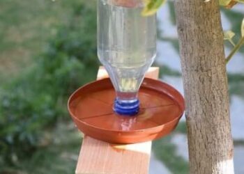 Quel récipient pour donner à boire aux oiseaux ?