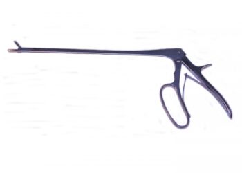 Quel rongeur sort la nuit ?