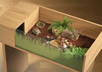 Quel sable pour les tortues ?