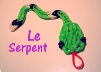 Quel serpent Peut-on adopter ?